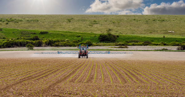 Le Gouvernement fait preuve d'ambigu�t� sur un possible retour des n�onicotino�des