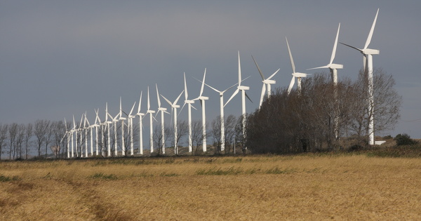 D�cret PPE3�: les acteurs des ENR font bonne figure