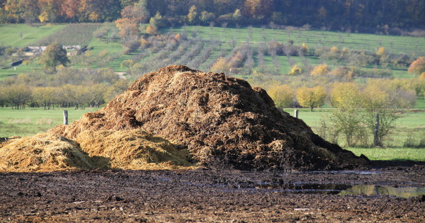 Nitrates�: la Commission europ�enne assouplit les r�gles pour les engrais Renure