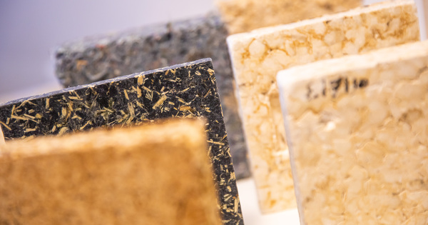 Des eaux us�es aux panneaux de particules�: l'�pop�e d'un nouveau mat�riau biosourc�