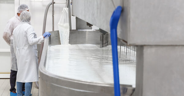 Industrie laiti�re�: un bilan met en lumi�re la r�currence des rejets de mati�res polluantes