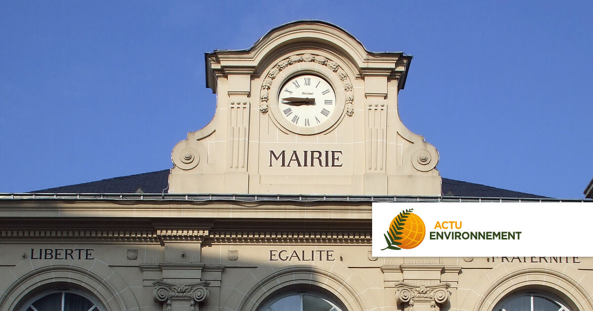 Énergie, biodiversité et urbanisme au menu de la loi de simplification des normes des collectivités