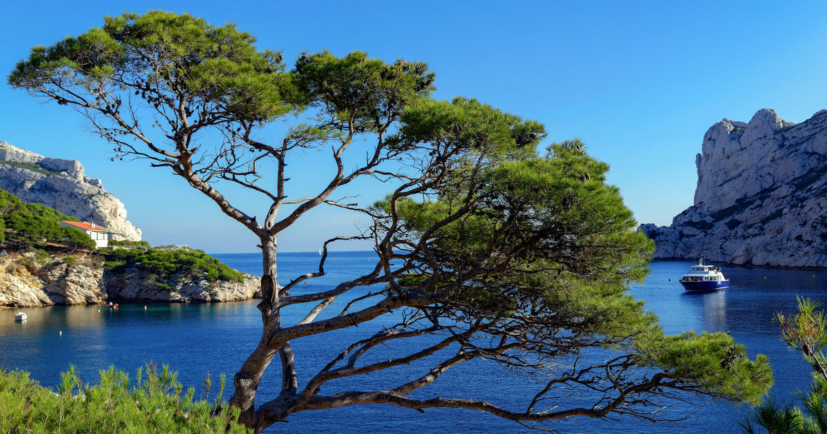 Aires prot�g�es�: la strat�gie nationale produit des r�sultats plus quantitatifs que qualitatifs