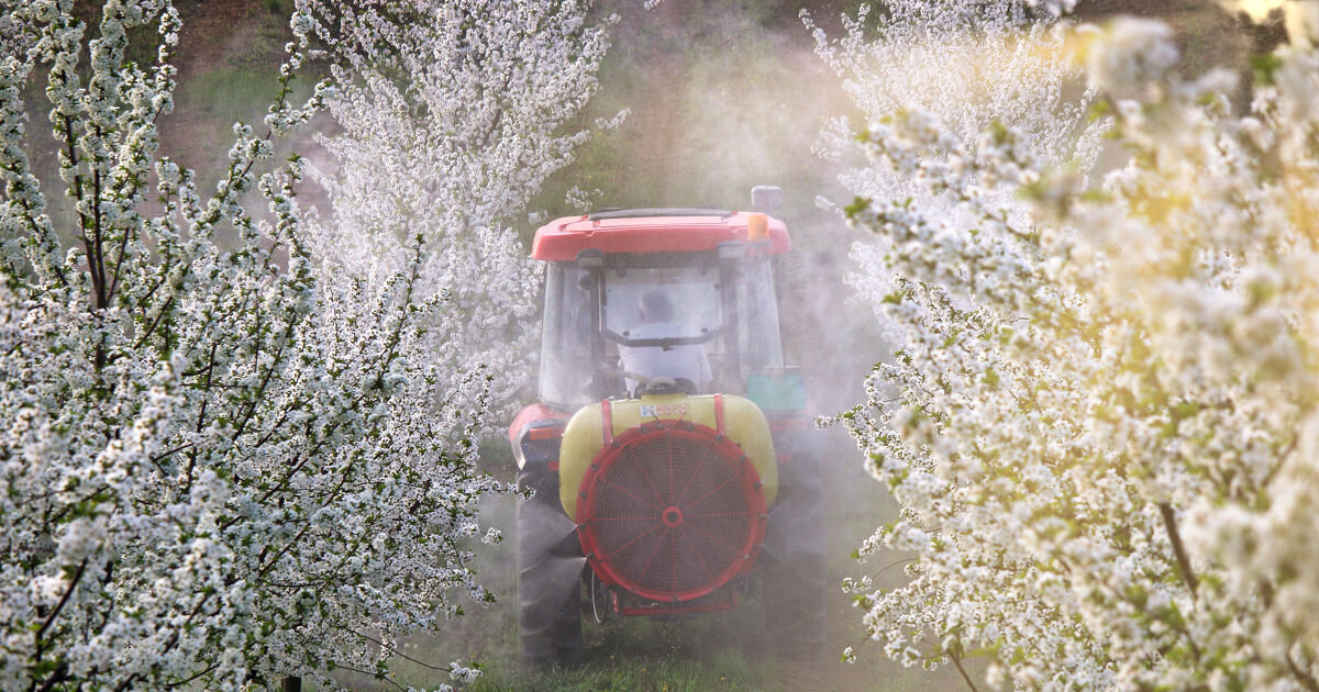 Ac�tamipride�: un insecticide qui provoque des remous � l'Opecst
