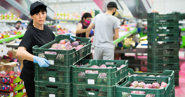 Le Conseil d'�tat valide la suspension d'importation de denr�es trait�es avec des pesticides interdits