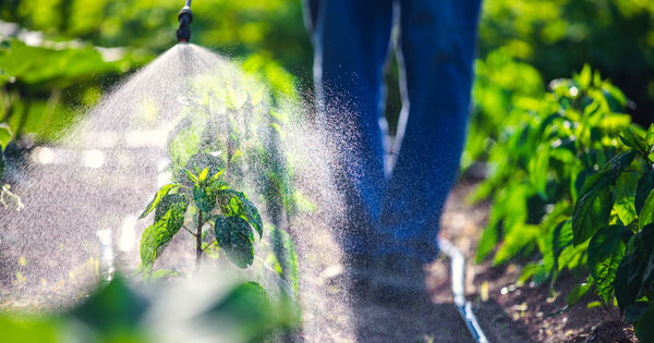 Pesticides�: le collectif Justice pour le vivant d�pose un recours en ex�cution