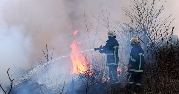 For�t de Fontainebleau ravag�e�: l'�le-de-France entre dans l'�re des feux