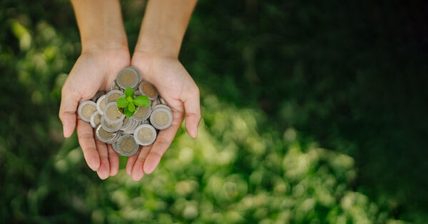 Financement de la strat�gie biodiversit�: un rapport s�natorial mise sur les cr�dits biodiversit�