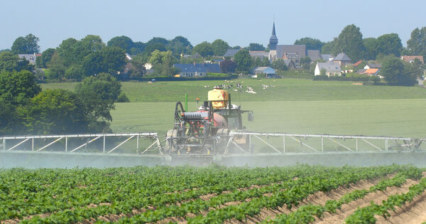 Pesticides�: les chartes de ��bon voisinage�� tombent pour d�faut d'information pr�alable