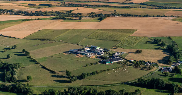 Loi d'urgence agricole�: les censures et les r�serves du Conseil constitutionnel