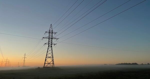 Ligne THT en Camargue�: l'autorit� environnementale pointe des insuffisances majeures