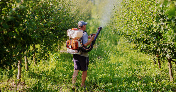 Victimes de pesticides�: le financement du Fonds d'indemnisation en question