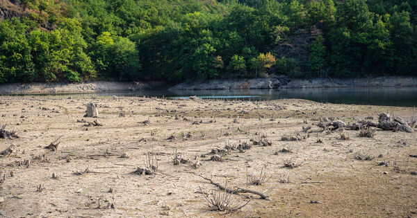 Nappes, cours d'eau, s�cheresse des sols�: des indicateurs dans le rouge fin ao�t
