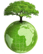 La Journée Mondiale de l'Environnement placée sous le thème de la lutte contre le changement climatique