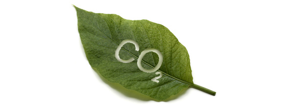 La taxe carbone sera fixe initialement  14 euros par tonne de CO2