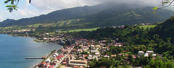 Martinique : un potentiel en ENR limité, la maîtrise d'énergie est une priorité