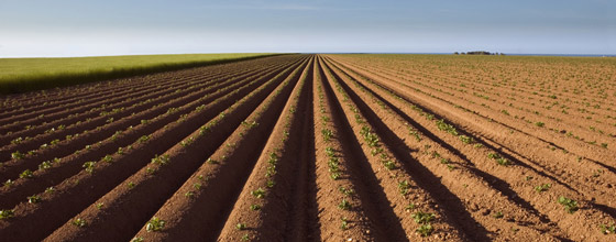 Changement climatique : diminuer l'impact de l'agriculture 
