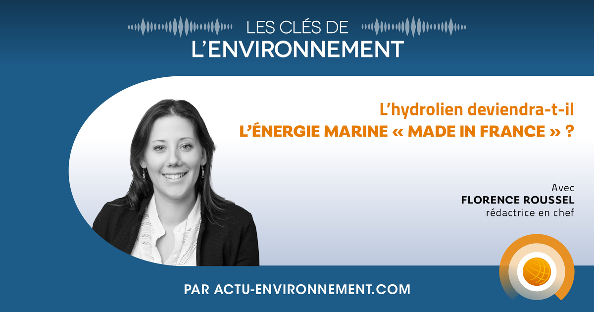 L'hydrolien deviendra-t-il l'énergie marine « made in France » ?