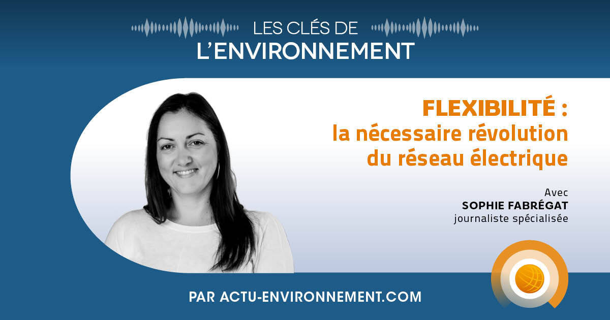 Flexibilit�: la n�cessaire r�volution du r�seau �lectrique