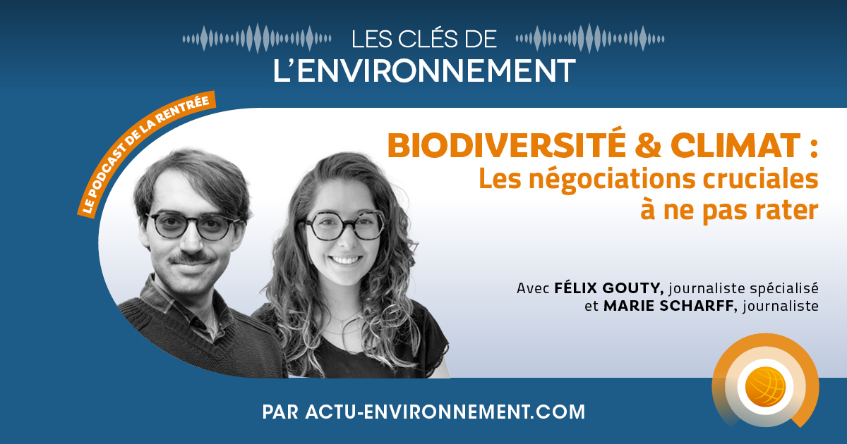 Biodiversit� et climat�: les n�gociations cruciales � ne pas rater