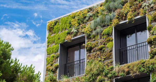 V�g�talisation des toits et fa�ades : un formidable outil urbanistique qui d�fend la biodiversit�
