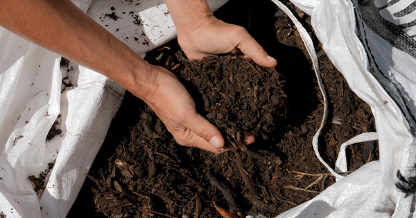Du compost facile à produire pour les gros producteurs de biodéchets