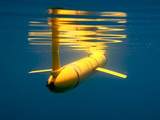 Focus sur le glider de Tara Ocans : un guide sous-marin trs prcieux