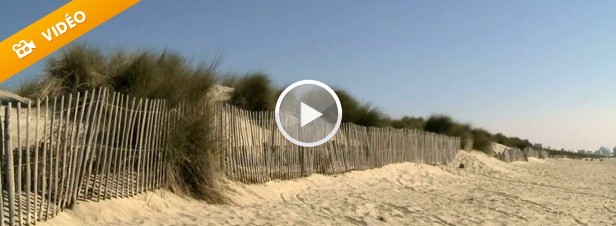 Erosion du littoral : l'Homme contraint de se plier aux rgles de la nature