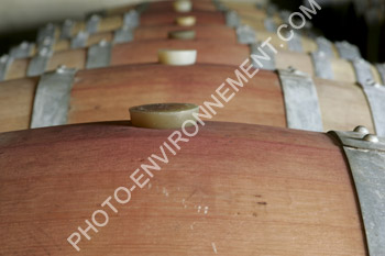 Photo Cave vinicole