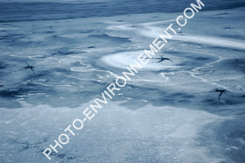 Photo Eis - lac glac