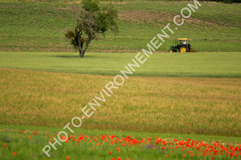 Photo Tracteur dans les champs
