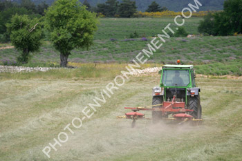 Photo Tracteur dans les champs