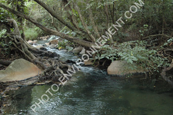 Photo Ruisseau tropical