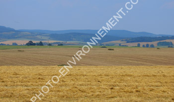 Photo Paysage agricole
