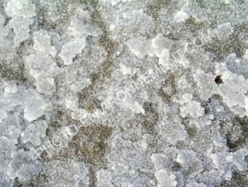 Photo Sel de mer cristalis par vaporation