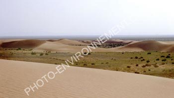 Photo Dsert de Gobi en Mongolie