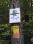 Photo Interdiction d'allumer des feux en Forêt