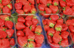 Photo Barquettes de fraises