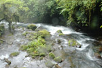 Photo Rivière de la forêt tropicale centra-américaine