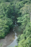 Photo Rivière tropicale