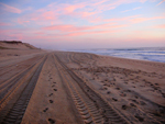 Photo Traces de pneus dans le sable de plage