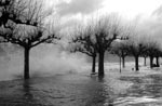 Photo Inondation
